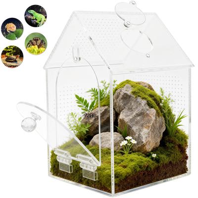 Reptiles – Terrarios de reptiles