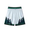Summer Latest American Retro Basketball Sports Shorts Fashion 3D Printed Men's and Women's Styles Loose Fashion Breathable Y2K