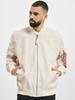 Демисезонная куртка Alpha Industries MA-1 TT Man (191103) stream white