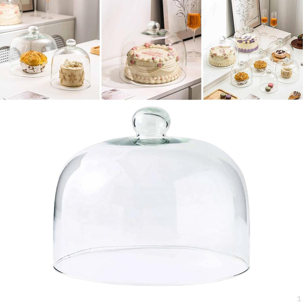 Cake Lid Display Cloche for Food Restaurants Home