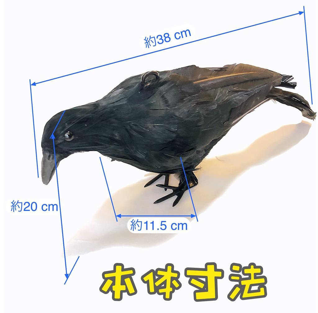 ONESORA Crow Bird Lifelike Feathered Crows Simply Hang to Repel Crows Repellent, Repellent, (2 Life-Size Birds) -