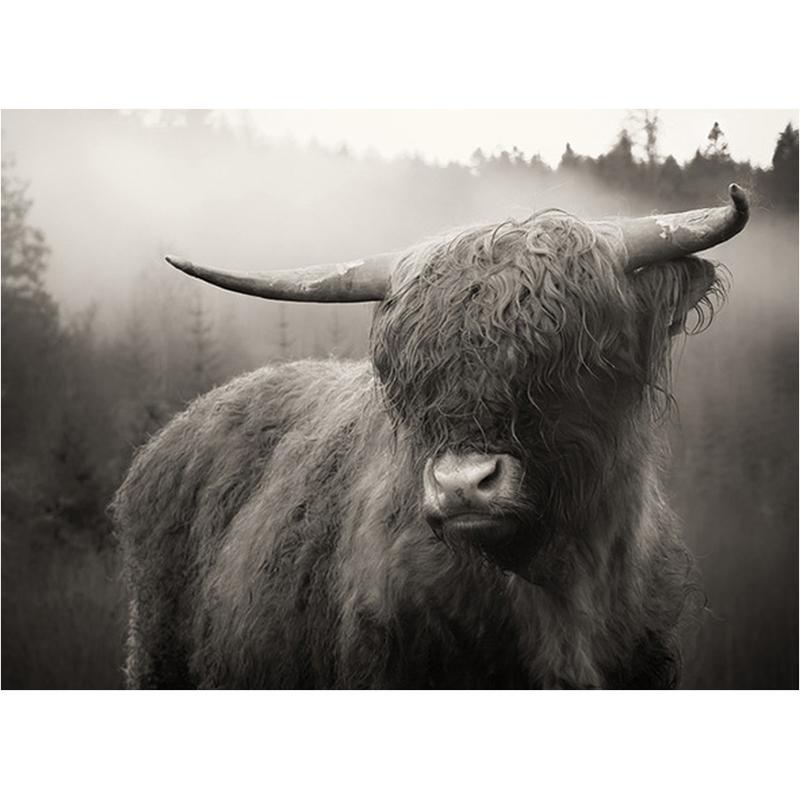 Highland Cow DIY 5D pictură cu diamante, mozaic, rotund complet, rășină, broderie cu diamante, seturi cu punct de cruce, decor acasă