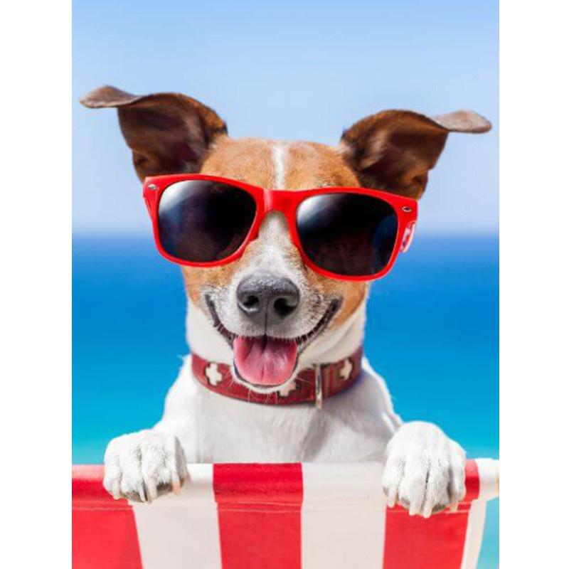 5D-Diamantmalerei zum Selbermachen, fröhlicher cooler Strandhund, Diamantstickerei, Kreuzstich-Set, voller Strass, Mosaik, Heimdekoration