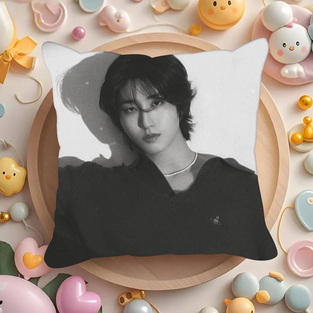 Pillowcases cushion covers living room sofas home decor gifts Korean singer H-Han Ji COOL Sung