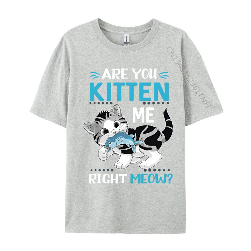 Are You Kitten Me Right Meow Funny Tshirts Plus Size Tops Anime Printed Tshirt Cotton Casual Brand T Shirt