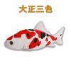 20cm Simulation Fish Cat Toys Soft Plush Catnip Toy Interactive Cat Toys Gifts Funny 3D Fish Shape Doll Pet Supplies