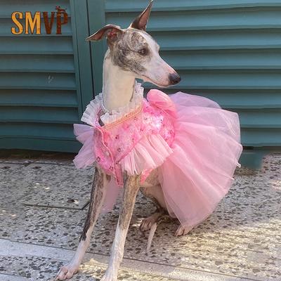 Vêtements et chaussures – Robes pour chien
