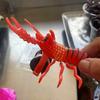 4Pcs Entertainment Smooth Edges Burr-free Simulation Lobster Model Boys Girls Pull Cord Toys