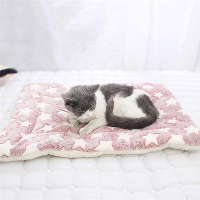 Cute Fashion Pet Mat Thicken Autumn and Winter Warm Mat Cat Dog Universal Blanket Anti-slip Cushion