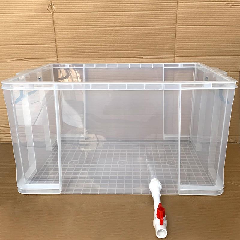 Turtle Tank with Drainage Hole - Transparent Breeding & Storage Box, Small/Large Size for Home Use