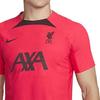 Nike Liverpool Fc Strike Elite 2022/23 T Shirt DM8431-661