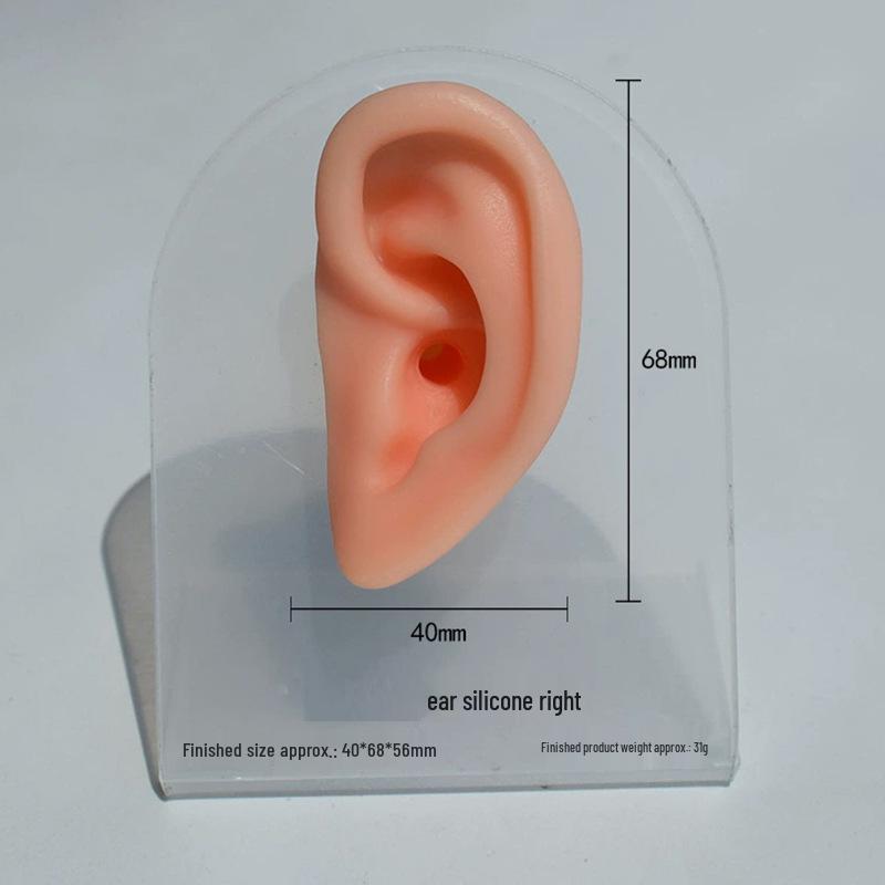 Silicone Ear Model for Piercing Jewelry Display