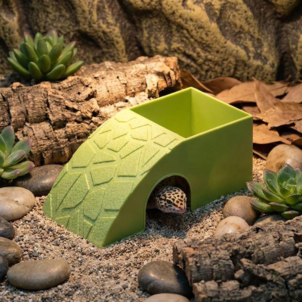 Anti Drowning Reptile Feeding Box With Moss Tray Water Dispenser Pet Breeding