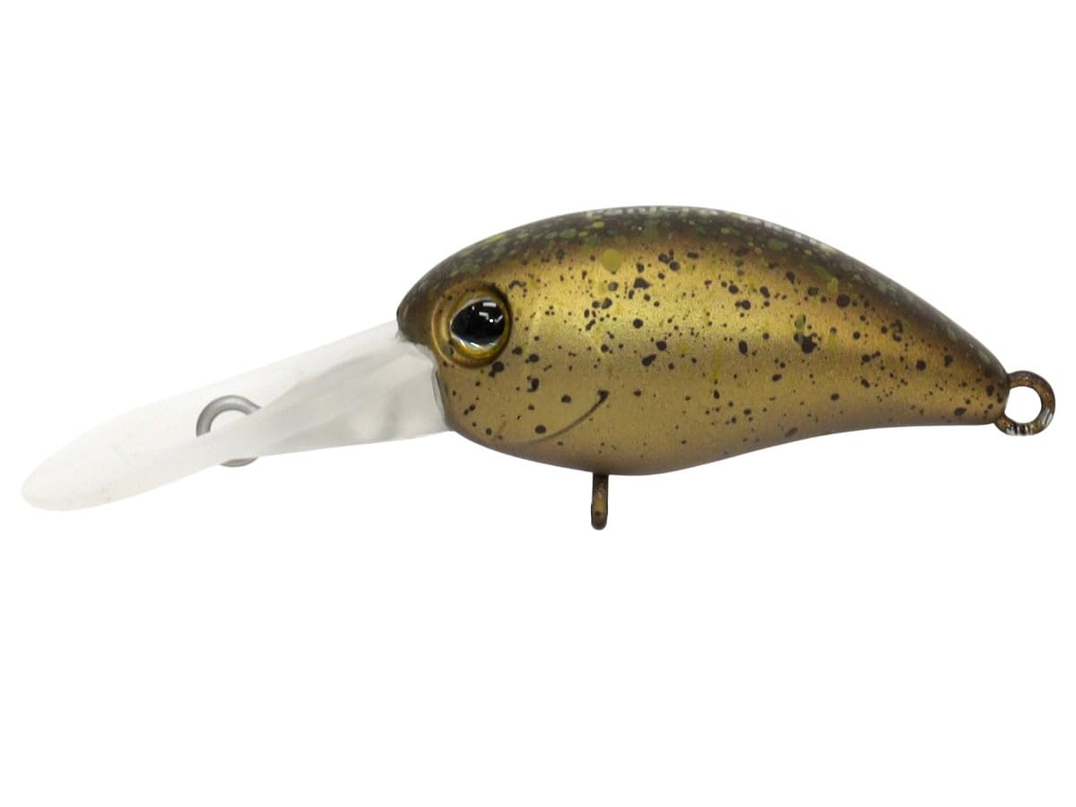 JACKALL Timon Dash Cadpin Glow Panicra  DR-HF