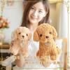 Big-eyed Toy Poodle Plush Toy (Toy Poodle A, 18cm)