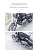 Retro Rear Backrest & Anti-Fall Guard for Qianjiang Flash 300S Motorcycle