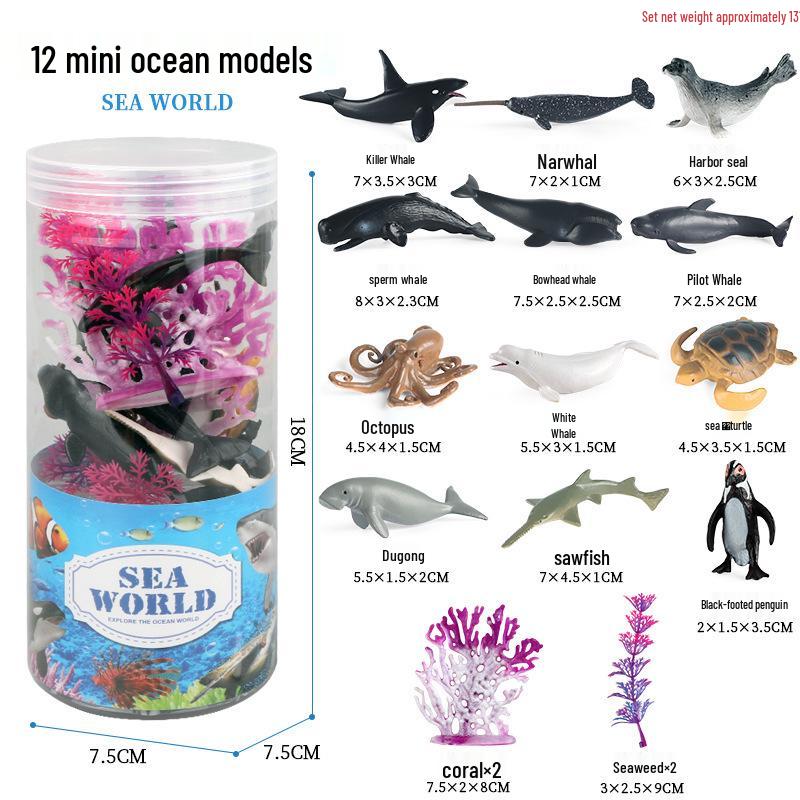 Frog Life Cycle Model Set: Tadpole to Frog Educational Toys for Kids