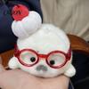 Holiday Stocking Stuffer Cute Baby Seal Plush Keychain, Soft Fluffy White Mini Bag Small Animal Charm, Stuffed Ocean Key Ring Accessory for