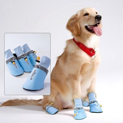 Roupa e sapatos – Sapatos para cães