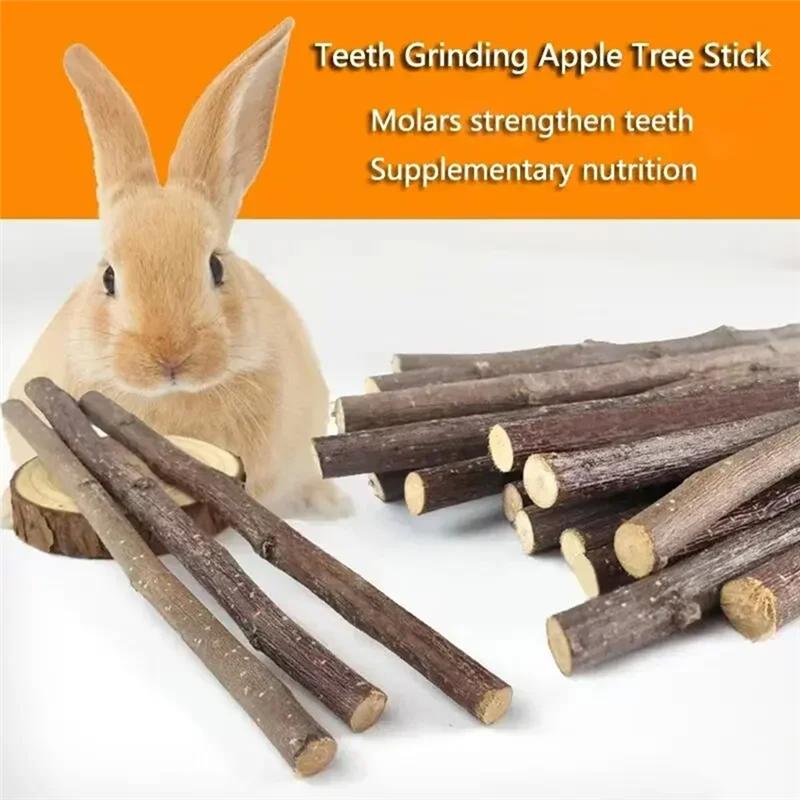 100Pcs Hamster Rabbits Teeth Grinding -Tree Stick Minerals Molar Stone For Chinchillas Hamster Pet Spare Part