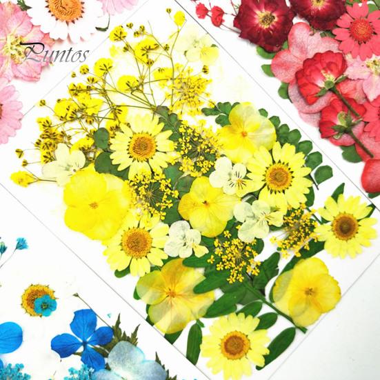 DIY Harz Kunst Blumen-Set 1 Set Getrocknete Gepresste Blumen Bunte Natürliche Bastelbedarf Kerzenherstellung Schmuck Epoxidform Vase Nagelkarte Scrapbooking
