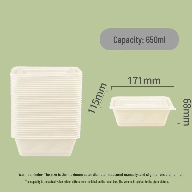 Degradable Disposable Food Container