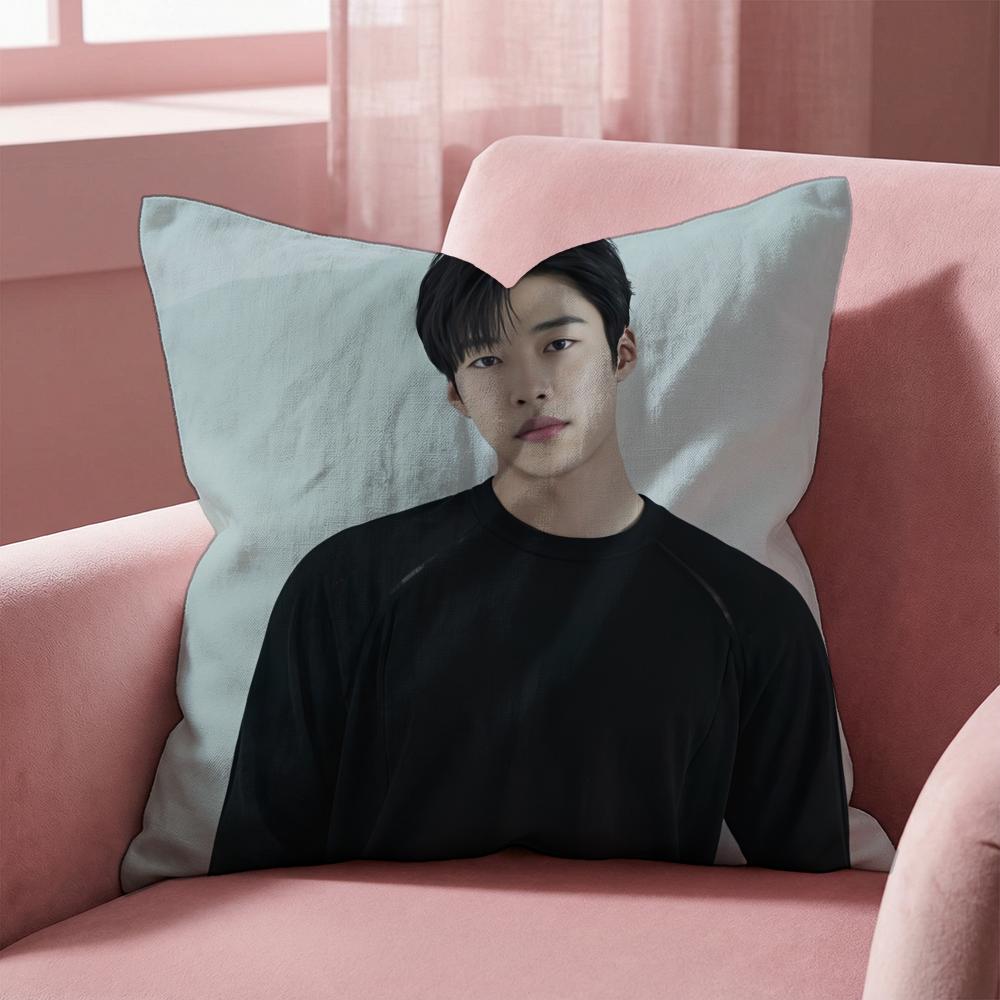W-Woo Do H-Hwan Cushion Cover Multi-Scene Pillow Cover for Home & Car - Reversible, Soft & Durable for Daily Use