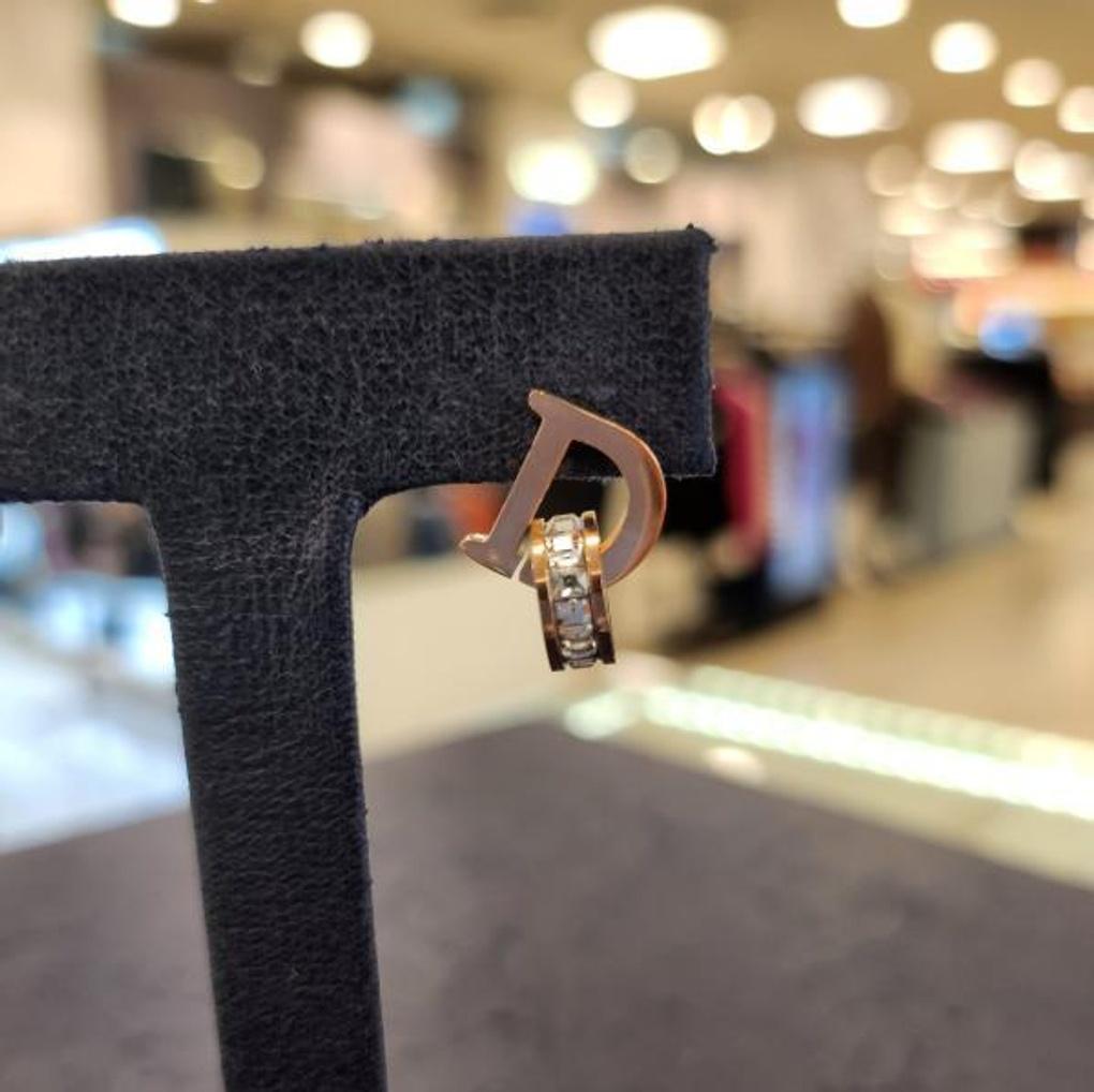 ARTRIA Surgical Steel D-Ring Earrings EWSSESC0018PKF