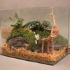 Natural Tree Trunk Driftwood Aquarium Fish Tank Reptile Cylinder Making Roots Plant Wood Decoration Ornament