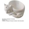 Flowerpot Ornament 3D Printed Sleeping Dragon Shape Matte Large Curved Planter 1 Pc