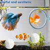 Pești și animale marine – Decorul acvariului