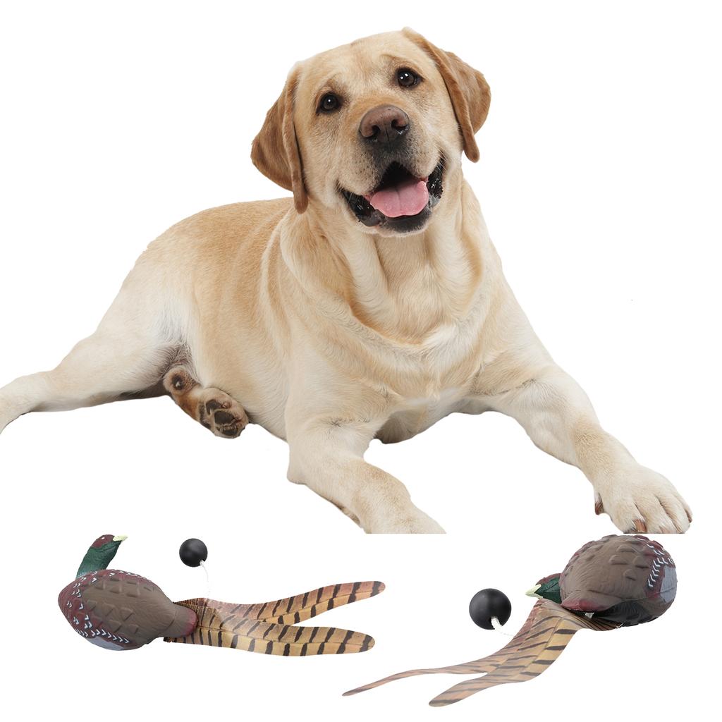 Training Dummy Retrieving Dog Toy for Outdoor Interactive Pet Chasing Toy Fowl Dogs Training Toy Pheasant Pet Supplies