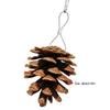 Natural Wood Pine Cones Pet Parrot Toy Bird Biting Exercise Climbing Standing Wooden Toys Pet Parrot Macaw Hammock Bird Toy