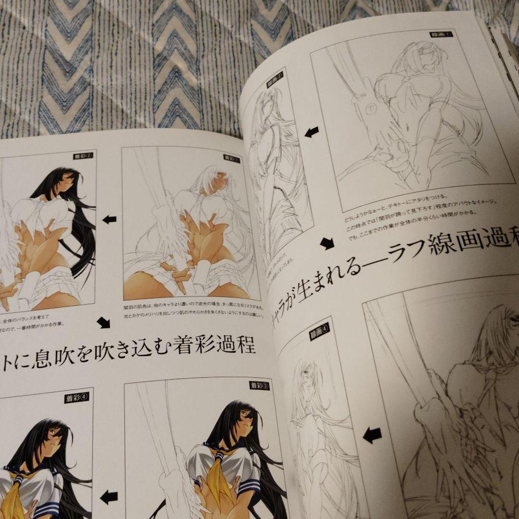 [USED] Ikki Tousen Master Works Yuji Shiozaki Art Collection