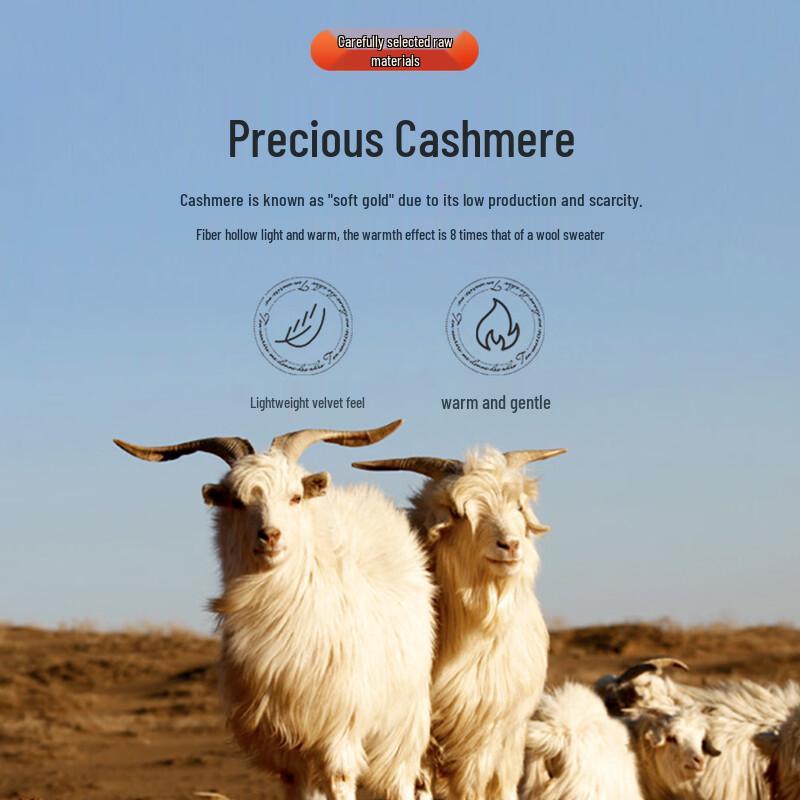 Men's 100% Cashmere Round Neck Sweater