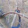Plants Stem Trainer Branch Limb Spreader Farm Tools Steel Wire Orchard Yard Trees Branches Fixator Farm Fruits Branch Spreader