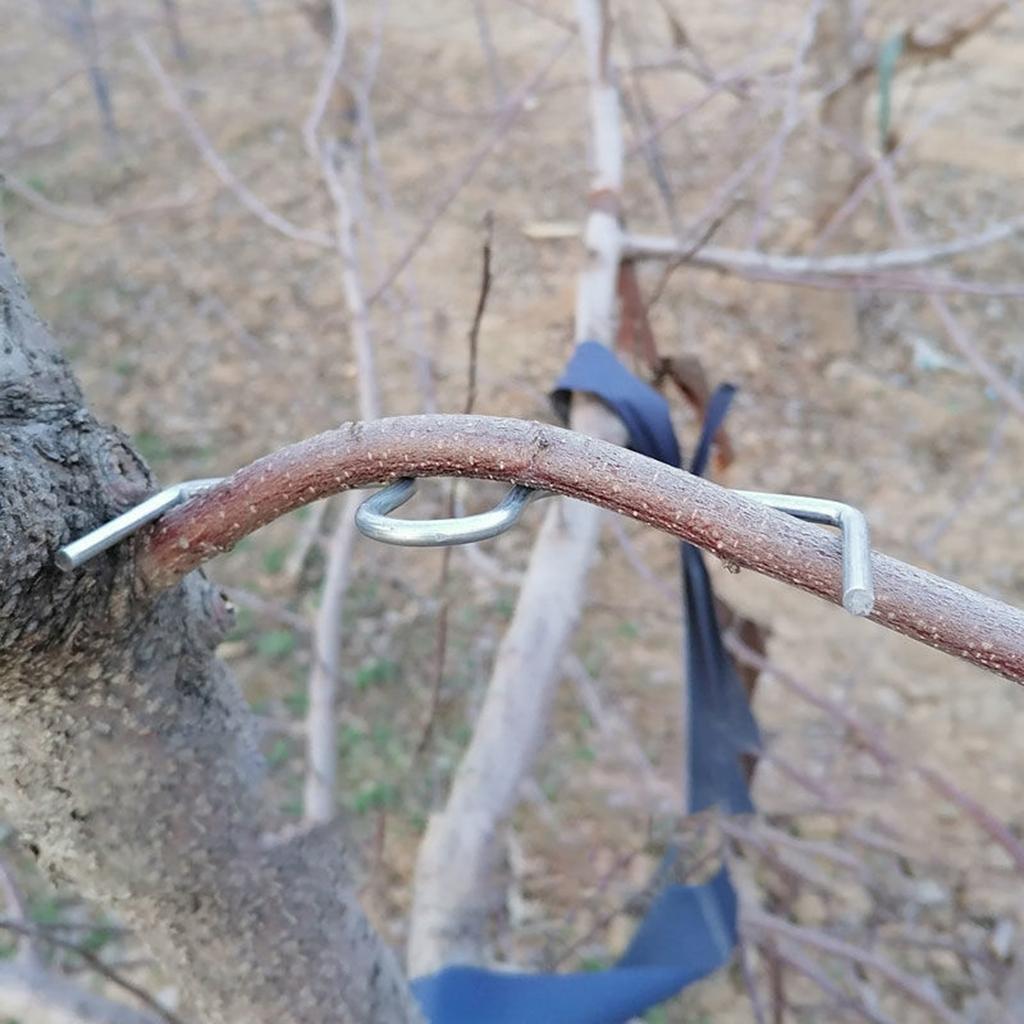 Plants Stem Trainer Branch Limb Spreader Farm Tools Steel Wire Orchard Yard Trees Branches Fixator Farm Fruits Branch Spreader