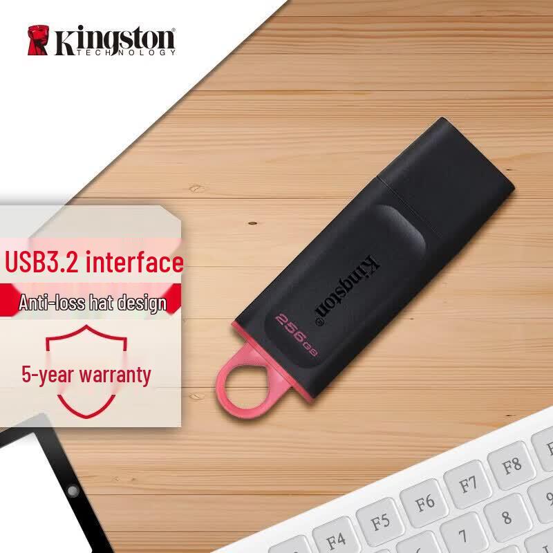 Kingston DataTraveler DTX 256GB USB 3.2 Gen 1 Flash Drive