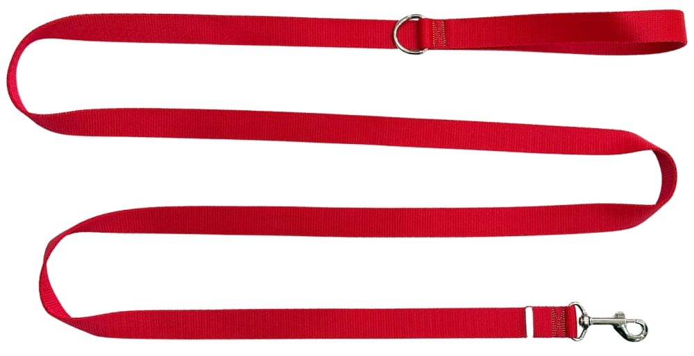 Dog Leash Traditional 2 Cm Red Fasten Dog Leash Traditional 2 Cm Red Fasten XXL - 3 M