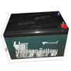 Tianneng 12V 20.2A Battery