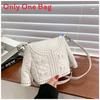 Pu Quilted Chain Bag For Women With Metallic Accents For Daily Use