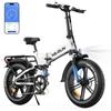 VARUN S20‑2 PRO Fully-Suspension Elektrofahrrad, 48V 13Ah Akku, NFC Smart Display