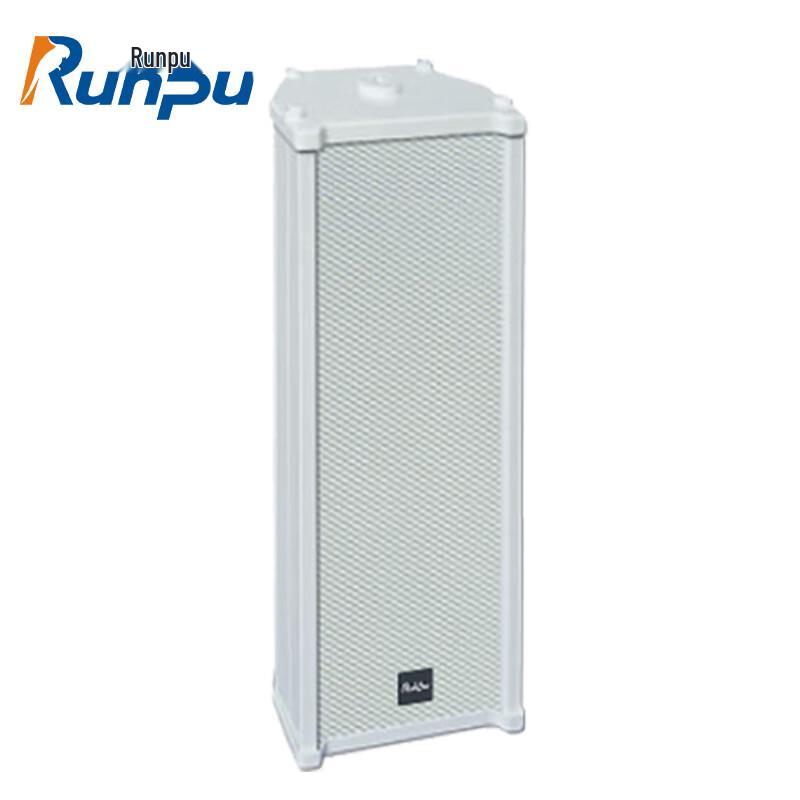 Runpu Professional Public Address Speaker Systems CN Plug (adapter Included)
