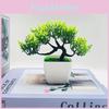Potted Pinus Simulated Hwangshanensis Artificial Flower For Decor Indoor