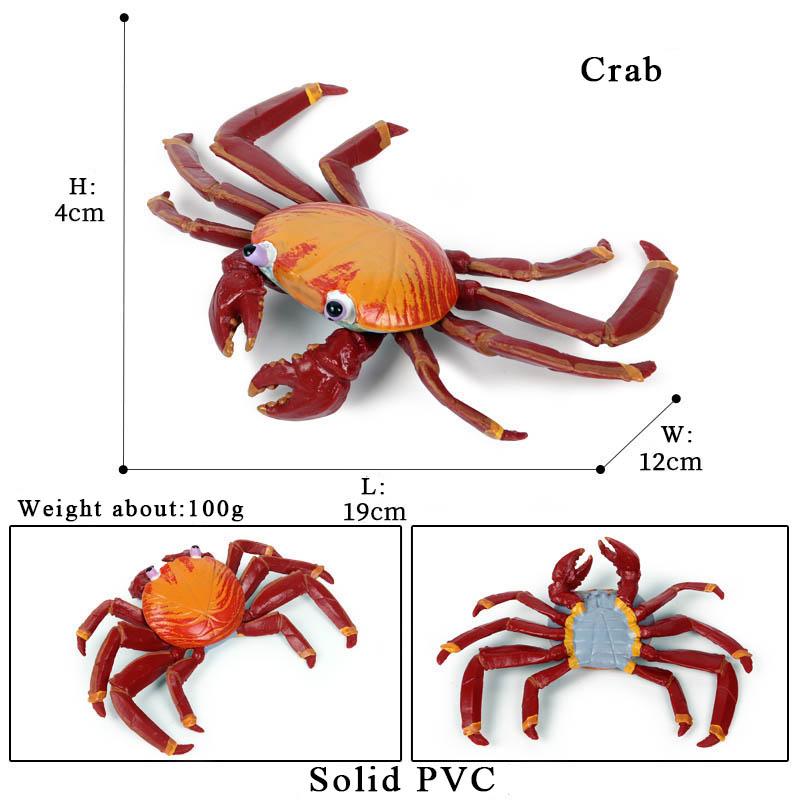 Oenux Simulation Ocean Sea Life Animals Model Lovely Crab Action Figures Toy Cake Toppers Collection Jouet Kids Education Gift