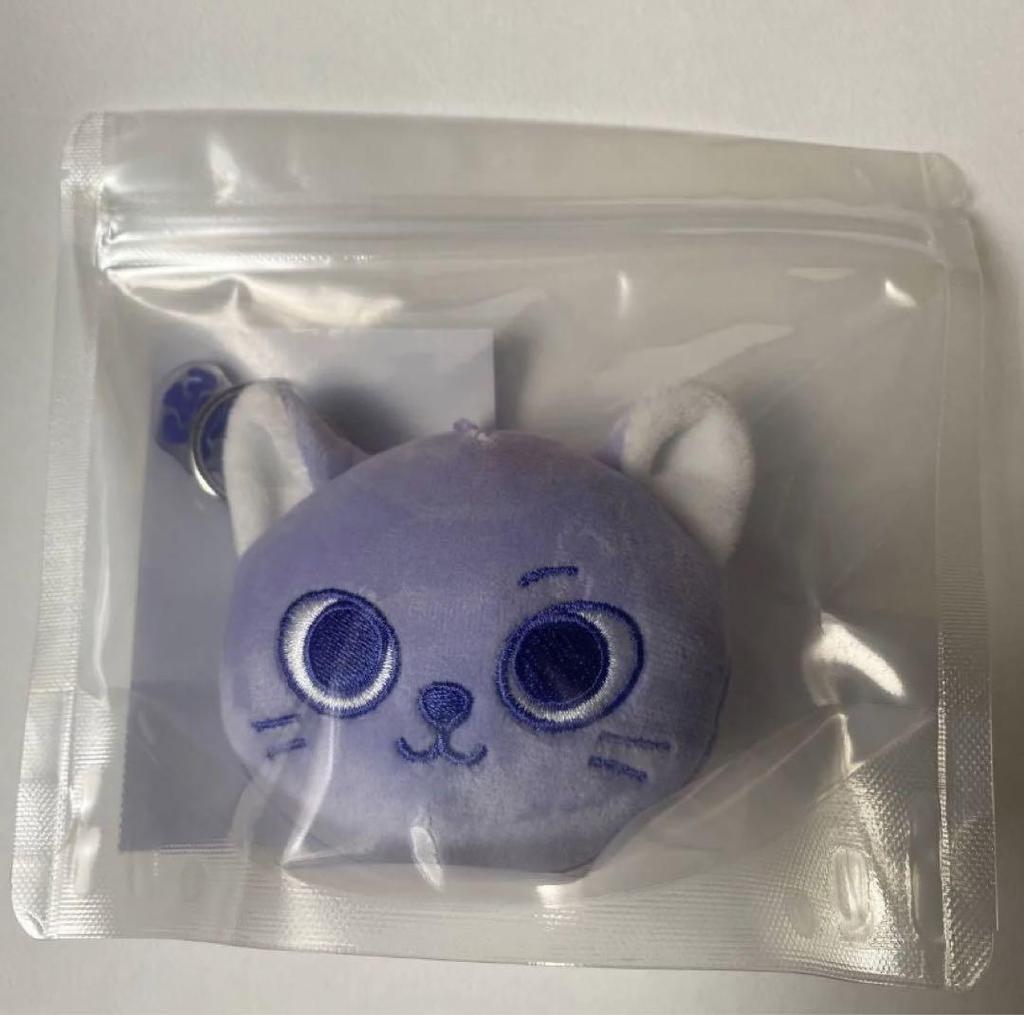 [USED] BOYNEXTDOOR No Genre Punekudo Key Ring Keppi Cappi