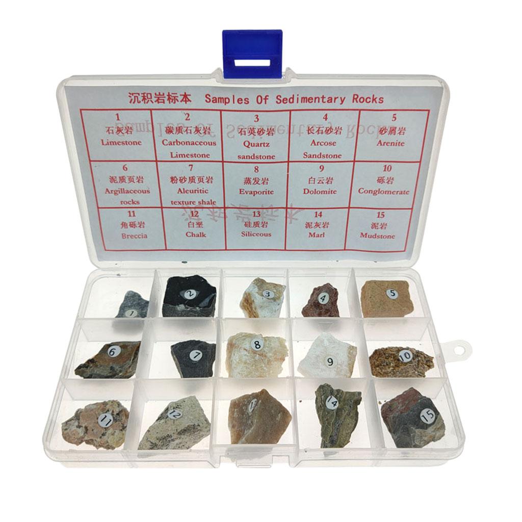 15pcs Sedimentary Rock Real Teaching Aid