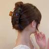 Geometric Hairpins Gifts For Girls Letter Acetate Hair Claws Korean Shark Clip Women Hair Clips