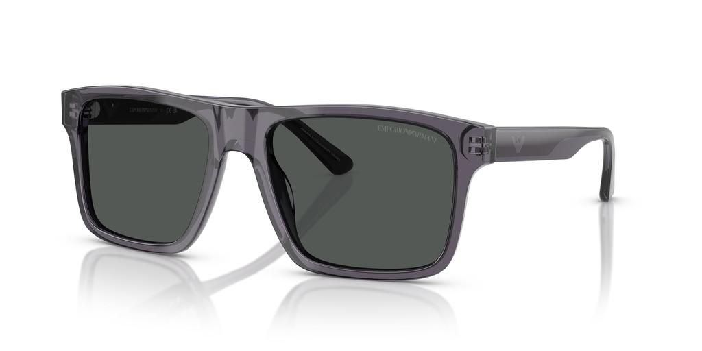 Sunglasses 0EA4232F TRANSPARENT DARK GRAY 57 [Emporio Armani]