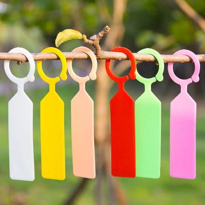 10pcs/set High Quality Plastic Plant Tags Pot Marker Hanging Tags Greenhouse Bonsai Collar Nursery Garden Labels